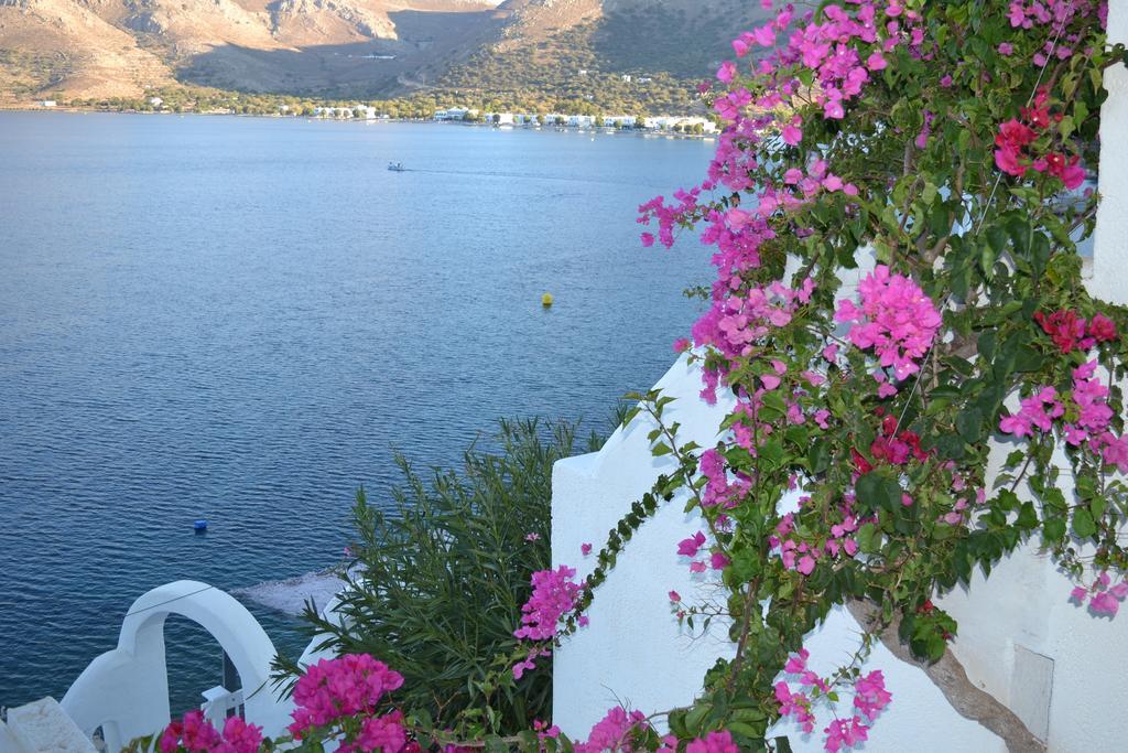 Aparthotel Ilidi Rock Livadia  Zimmer foto